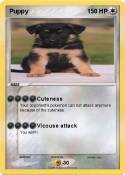 Puppy