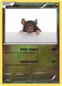 rat