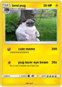 best pug