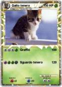 Gatto tenero