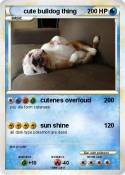 cute bulldog thing cute bulldog