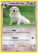 Golden Ret. Dog
