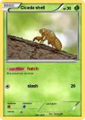 Cicada shell