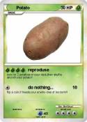 Potato