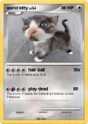 werid kitty