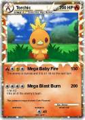 Torchic
