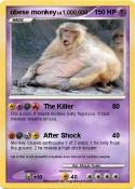 obese monkey