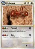 Worker Ant