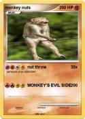 monkey nuts