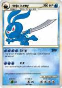ninja bunny