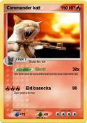 Commander katt