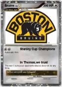 Bruins Bruins
