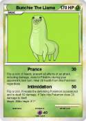 Bunchie The Llama Bunchie The