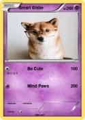 Smart Shibe