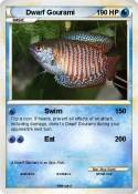 Dwarf Gourami