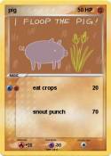 pig