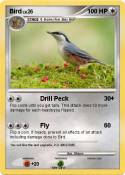 Bird