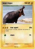 angry hippo