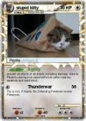 stupid kitty