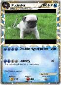 Puginator