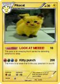 Pikacat