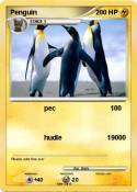 Penguin