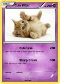 Cute Kitten