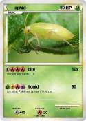 aphid