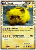 Pikacat