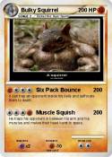 Bulky Squirrel