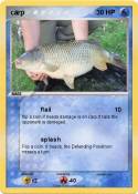 carp