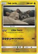THE CATS