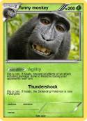 funny monkey