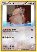 fat cat
