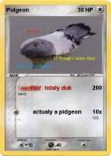 Pidgeon