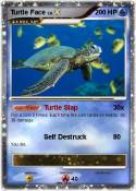 Turtle Face