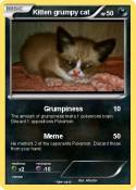 Kitten grumpy