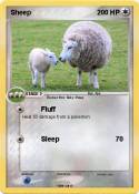 Sheep