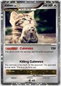 Kitten