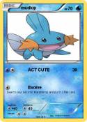 mudkip