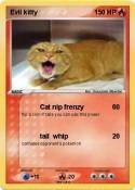 Evil kitty