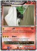 Flipped Cat