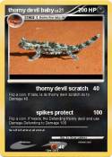 thorny devil