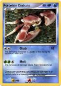 Porcelain Crab