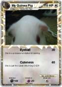 My Guinea Pig