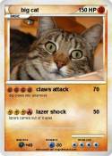 big cat