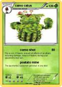 camo catus