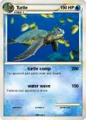 Turtle