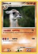 llama