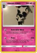 Ultimate Kitten